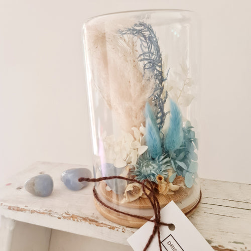 Dried Terrarium with blue lace agate