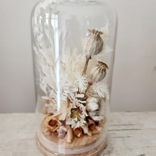 Dried Terrarium